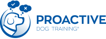Training Boot camp